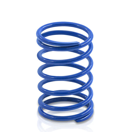 15 PSI External Wastegate Spring Blue